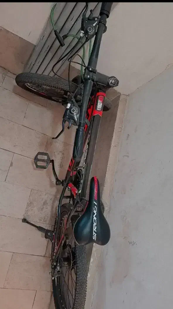 دوچرخه ۲۴|دوچرخه، اسکیت، اسکوتر|پردیس, فاز ۳|دیوار