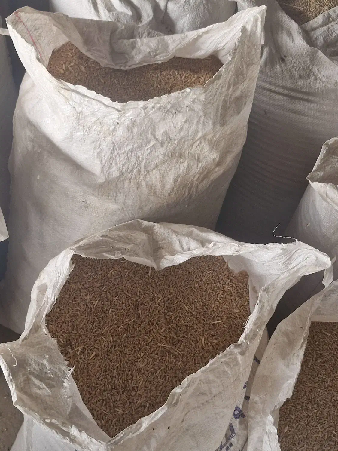 گندم دهدشت|عمده‌فروشی|ایذه, |دیوار