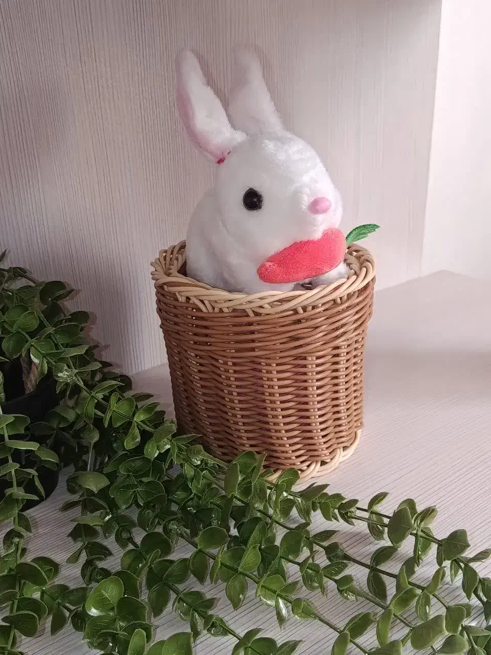 سبد های حصیری|سفره، حوله، دستمال آشپزخانه|شاهرود, |دیوار