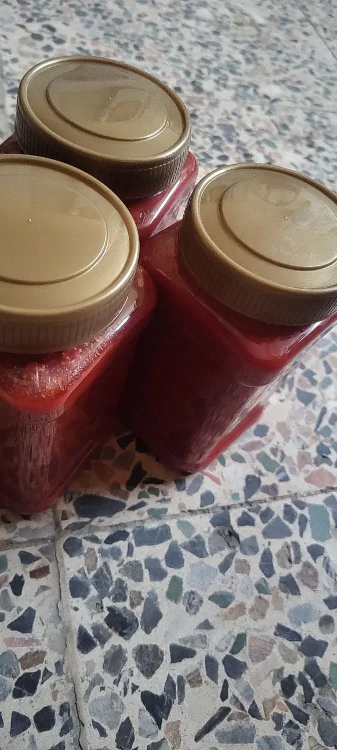 رب خانگی|خوردنی و آشامیدنی|خمینیشهر, |دیوار