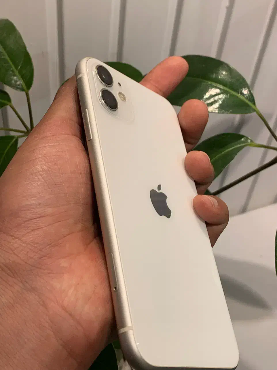 iphone 11|موبایل|مشهد, وکیل‌آباد|دیوار