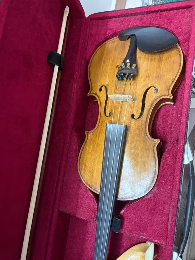 ویولن دستساز ایرانی نو|ویولن|قم, انسجام|دیوار