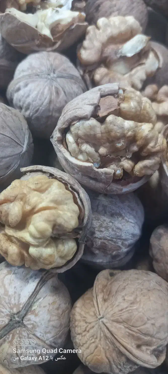 فروش گردو در نمایشگاه|خوردنی و آشامیدنی|بادرود, |دیوار