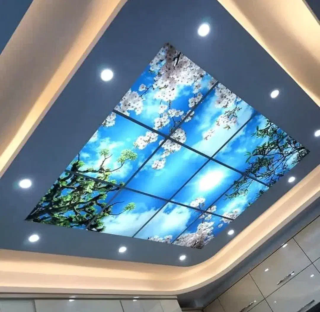 اجرای کناف و پی وی سی|خدمات پیشه و مهارت|بوکان, |دیوار