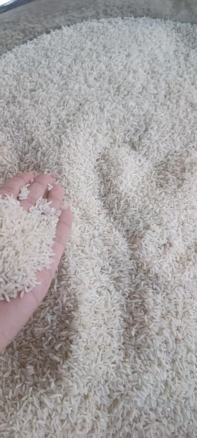 برنج کشت دوم (جگل)فریدونکنار عطری|خوردنی و آشامیدنی|مشهد, طبرسی شمالی|دیوار