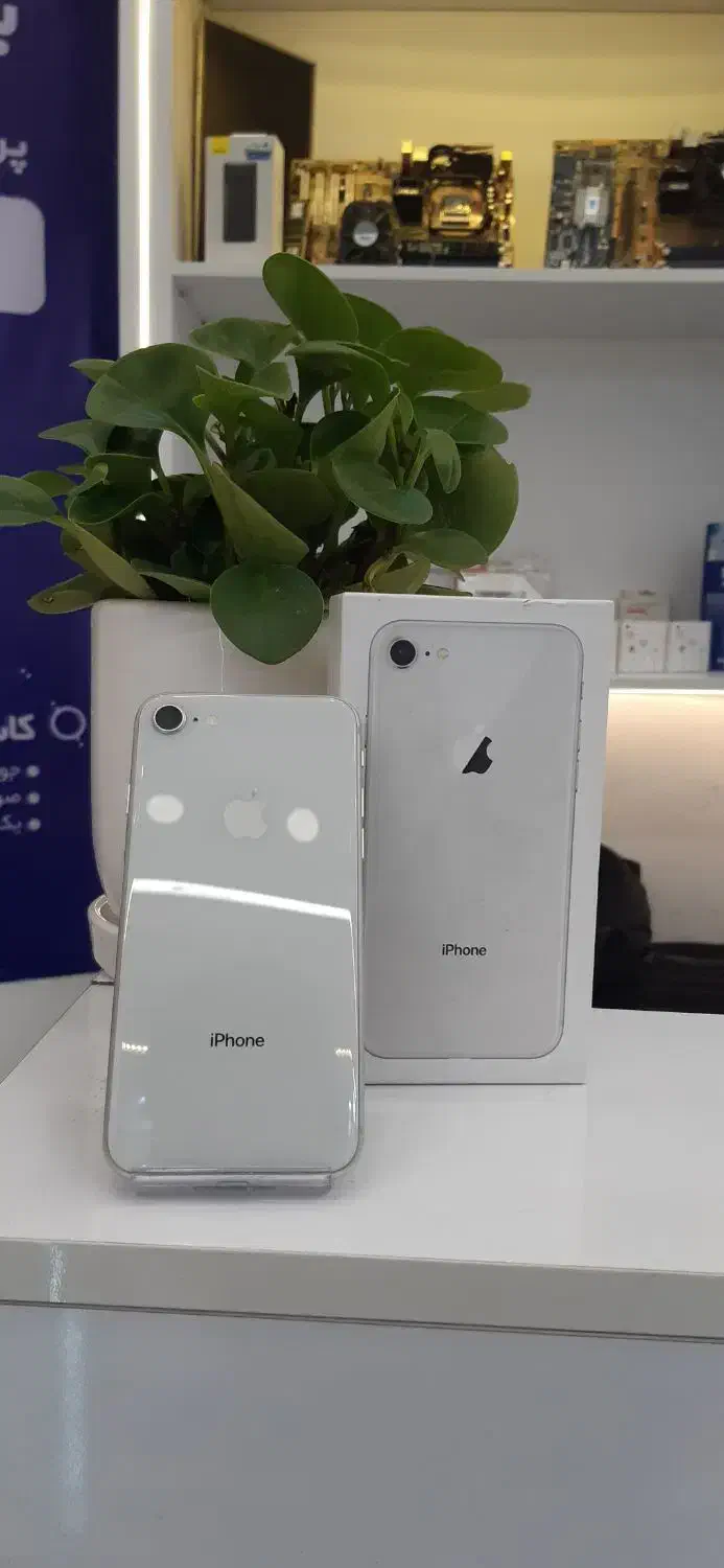 iphone8 256GB|موبایل|تهران, صادقیه|دیوار