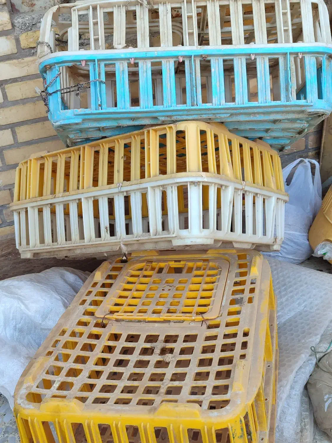 پرکن مرغ با وسایل|ماشینآلات صنعتی|سوسنگرد, |دیوار