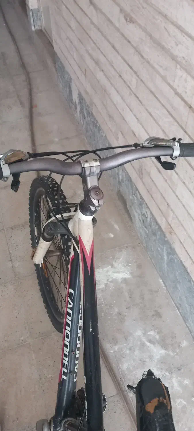 دوچرخه ۲۴ کنندل اصلی|دوچرخه، اسکیت، اسکوتر|قزوین, |دیوار