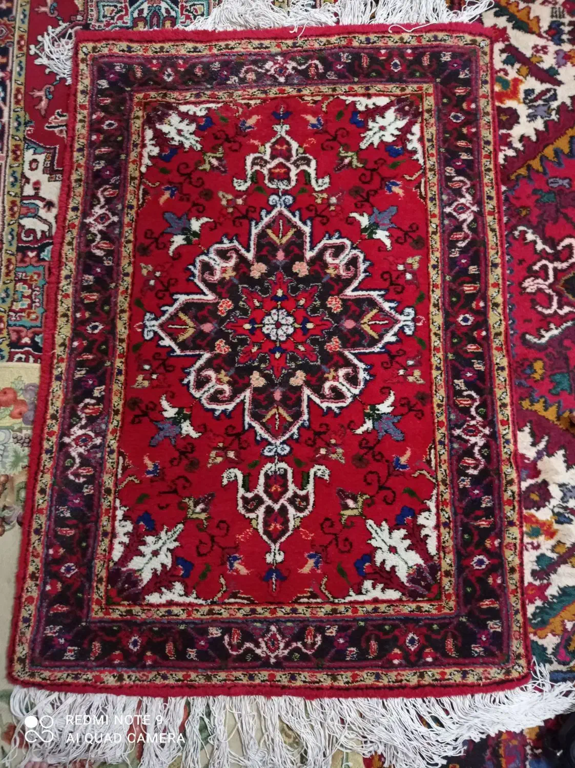 فرش دستبافت زرع ونیم|فرش|تبریز, |دیوار