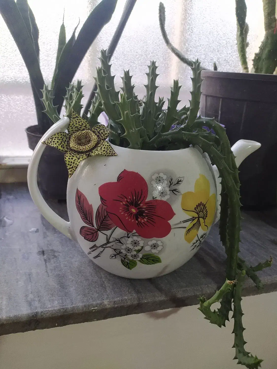 حراجی وسایل خانه|حراج|مرند, |دیوار