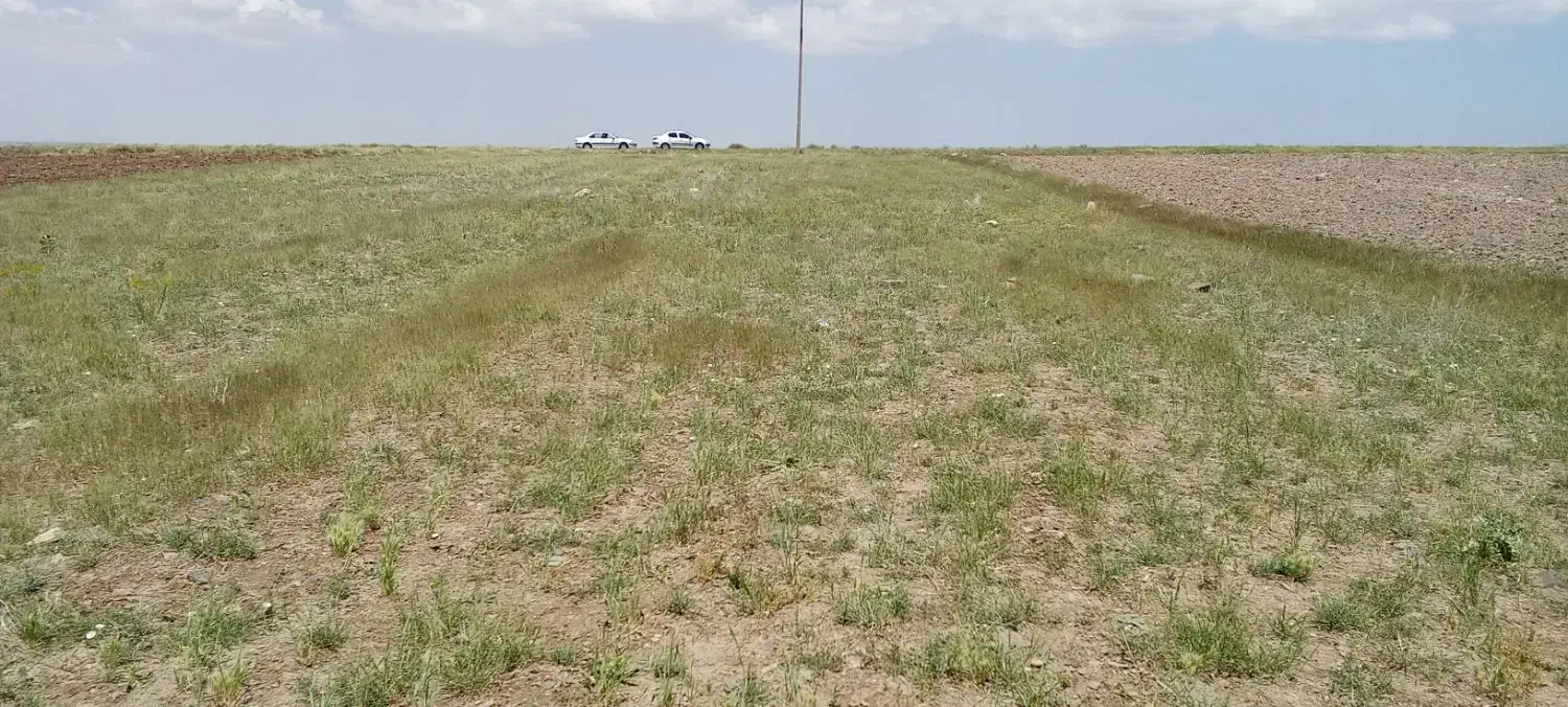 زمین باغی1800مترلب جاده معامله میکنم|فروش زمین و ملک کلنگی|قره پشتلو, |دیوار