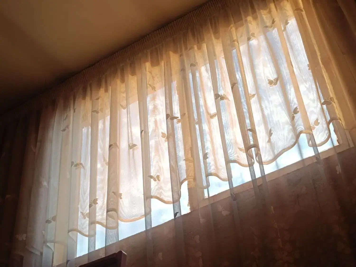 پرده نسکافه‌ای|پرده، رانر، رومیزی|مشهد, گلشور|دیوار