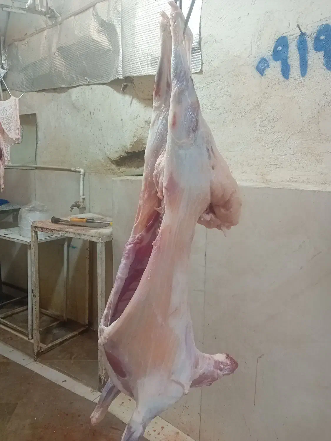 خریدو فروش دام طیور|حیوانات مزرعه|تهران, امام زاده عبدالله|دیوار