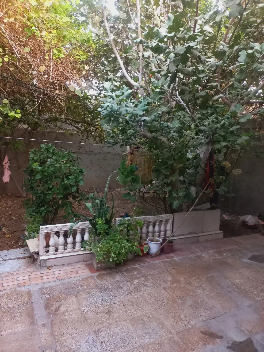 خونه دویست ونه متری متری چغادک کوچه لاله 6(معلم)|اجارهٔ خانه و ویلا|چغادک, |دیوار