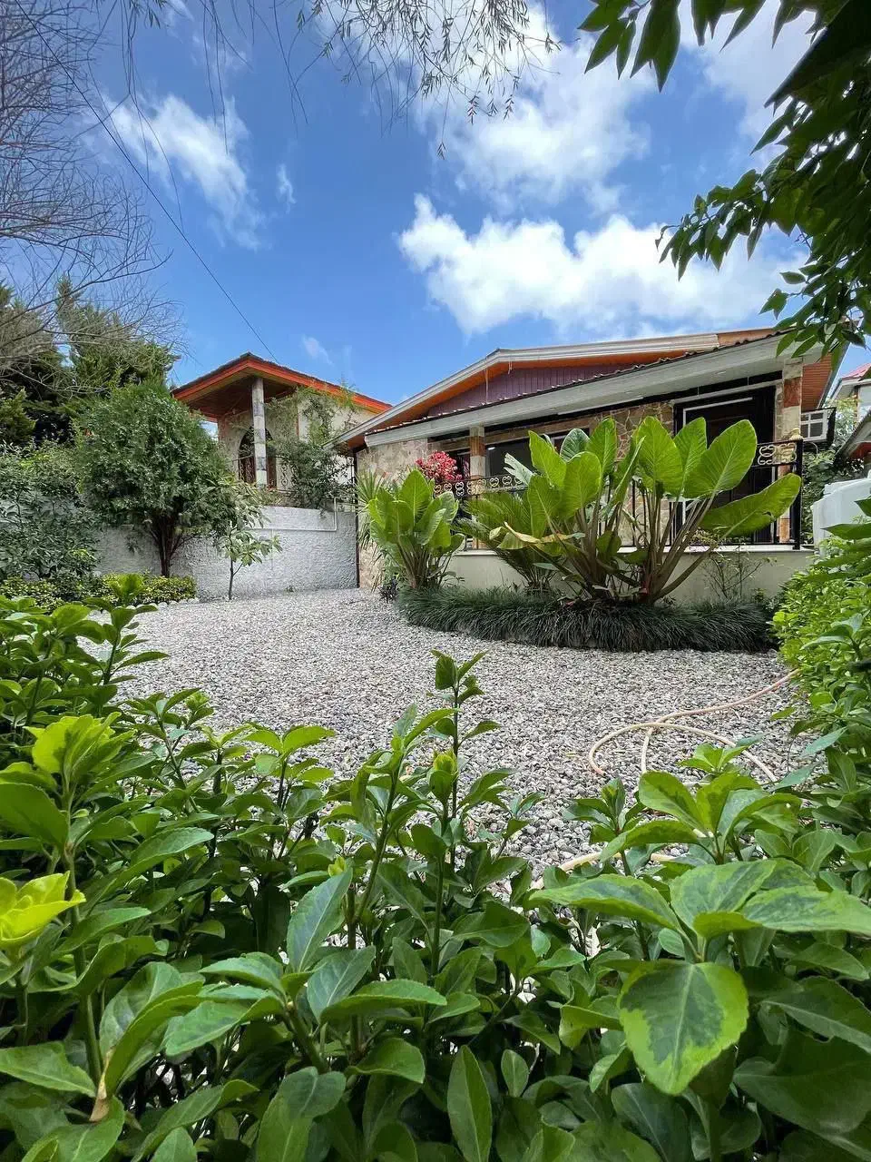 ویلاباغ/300متری/تاپ لوکیشن/حیاط بزرگ|فروش خانه و ویلا|سرخرود, |دیوار