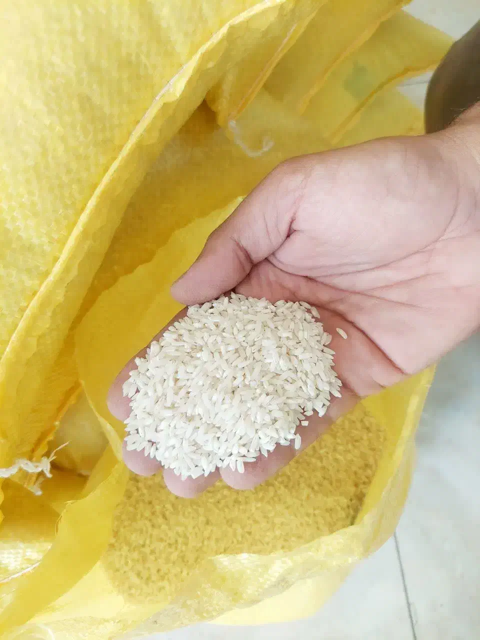 برنج عنبر بودانه کامل زیر قیمت بازار|خوردنی و آشامیدنی|قم, بنیاد|دیوار