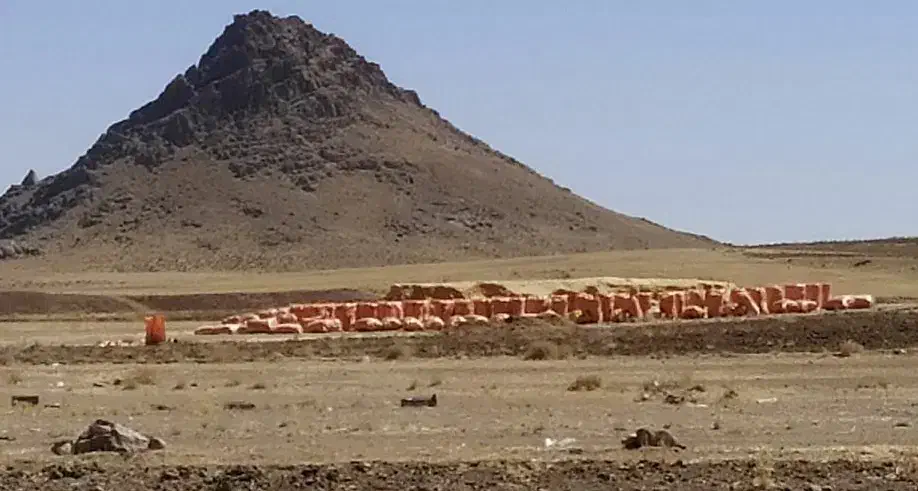 خریدار کاه دیم کمباین تناژ بالا|خدمات باغبانی و درختکاری|قروه, |دیوار