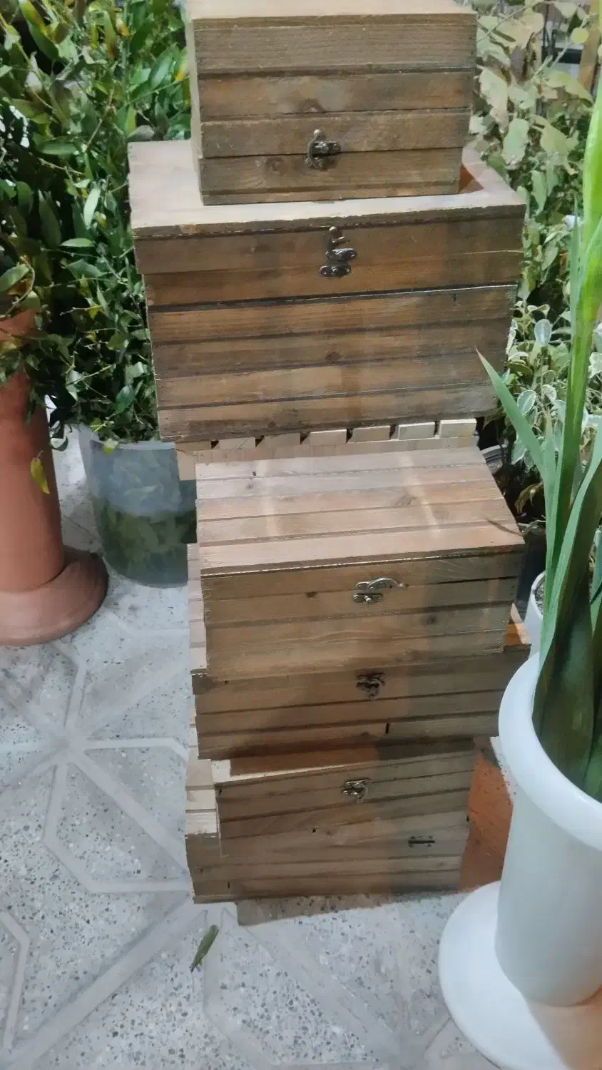 انواع باکس و سبد شب چله ای|گل و گیاه طبیعی|بیرجند, |دیوار