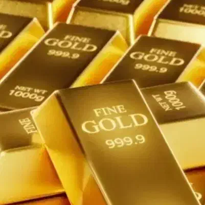 *ملی گلد *|کارت هدیه و تخفیف|مشهد, کوی ولیعصر|دیوار