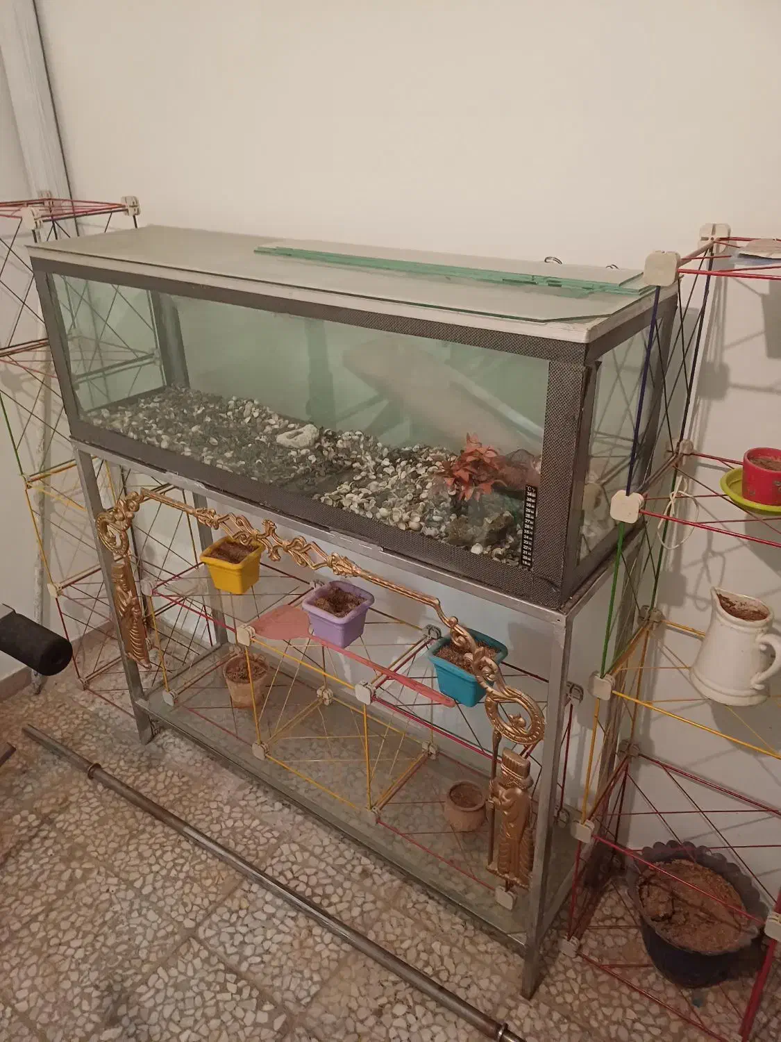 سرگرمی حیوان ماهی|ماهی|اراک, |دیوار