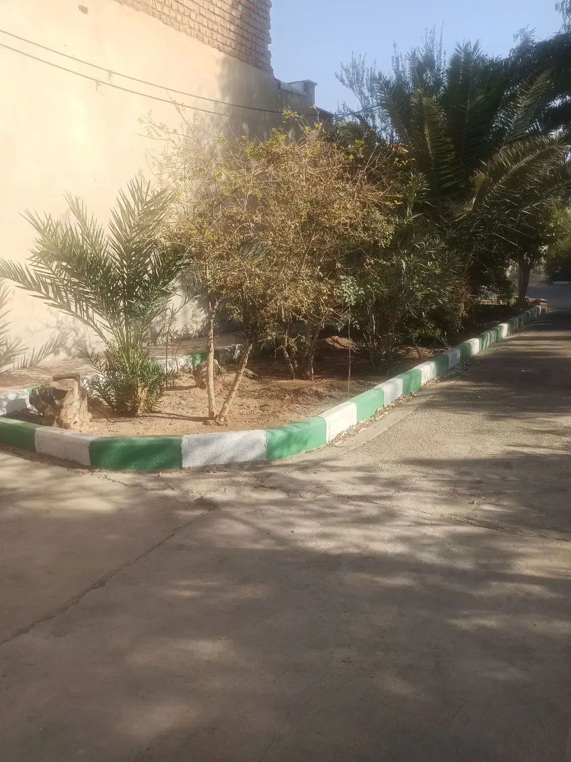 زمین|فروش زمین و ملک کلنگی|ساوه, |دیوار