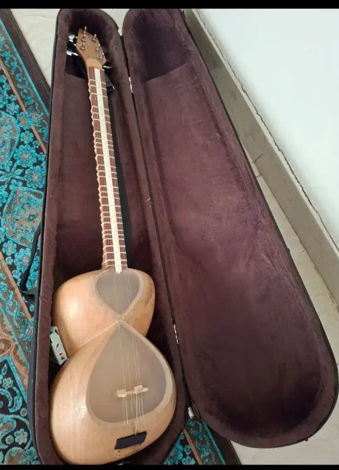 تار تخت سه مهر هاشمیان|سازهای سنتی|کاشان, باهنر|دیوار