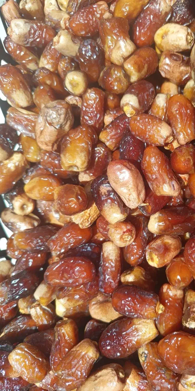 خرما خشکیچ پیمازو موجود  کیلو۱۵۰|خوردنی و آشامیدنی|سراوان, |دیوار