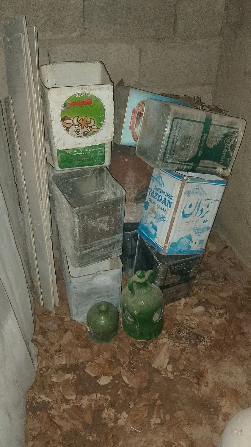 کبوترگنجه جفت کن قوطی و جا تخمی|پرنده|هشتگرد, قاسم آباد بزرگ|دیوار