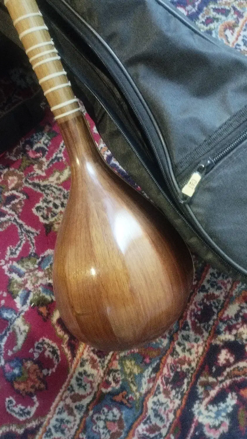 سه تار تک مهر ذوالقدر|سازهای سنتی|زنجان, |دیوار