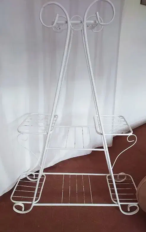 استندگل|گل و گیاه طبیعی|مهاباد (آذربایجان غربی), |دیوار