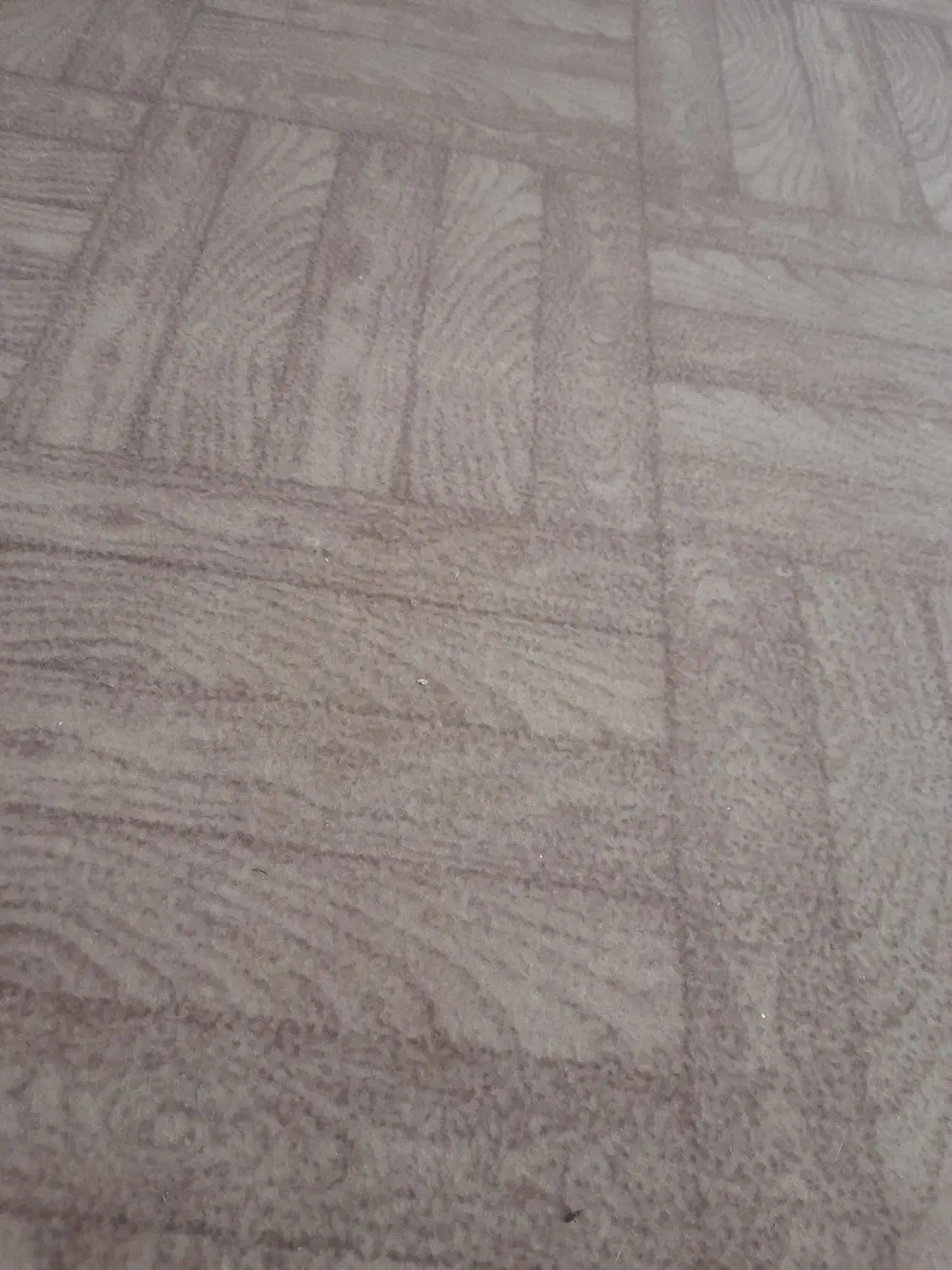 موکت طرح کاشی بدون سوختگی|موکت|گنبد کاووس, |دیوار