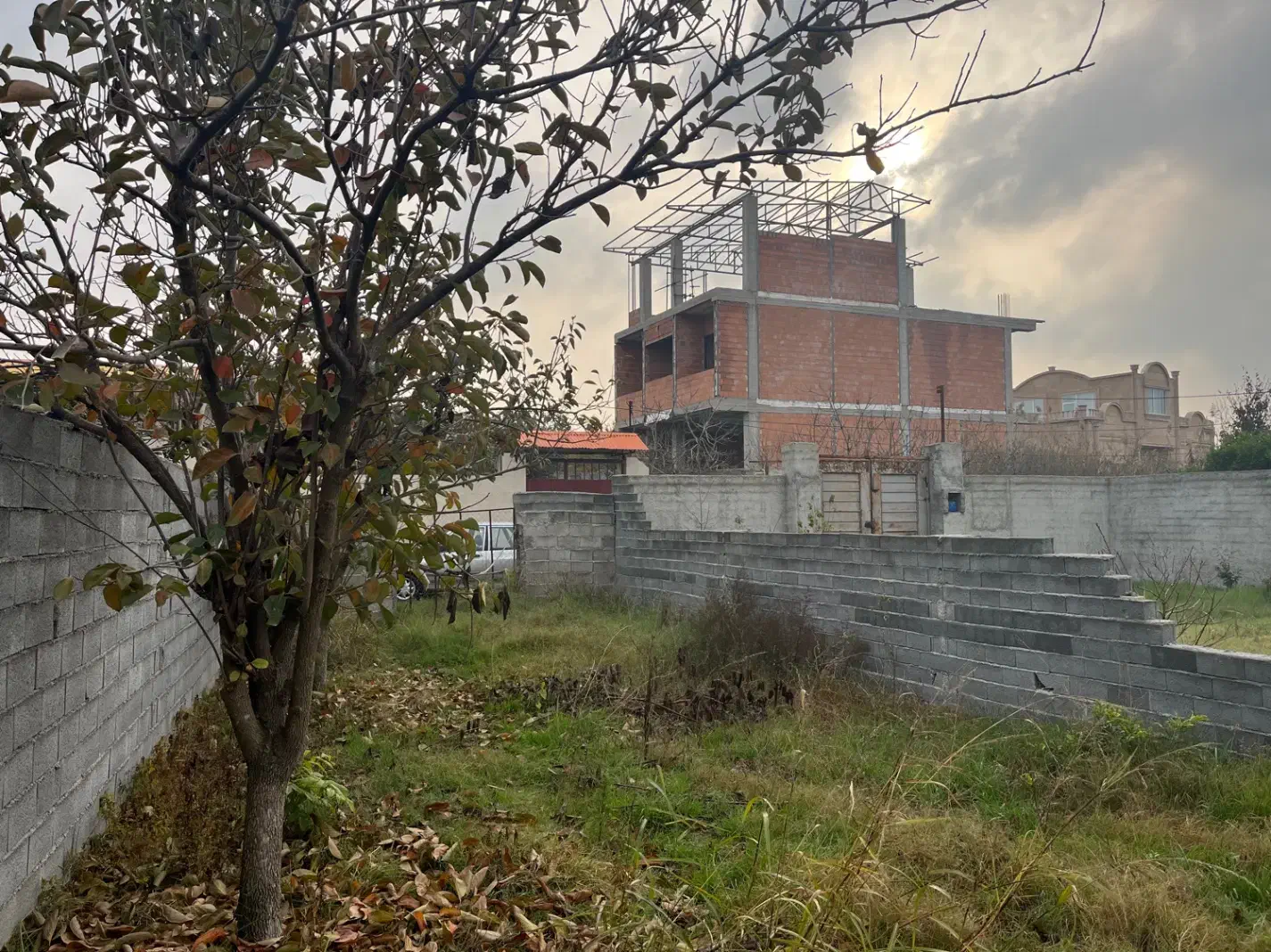 شمال سیمرغ کیاکلا|فروش زمین و ملک کلنگی|قائمشهر, |دیوار