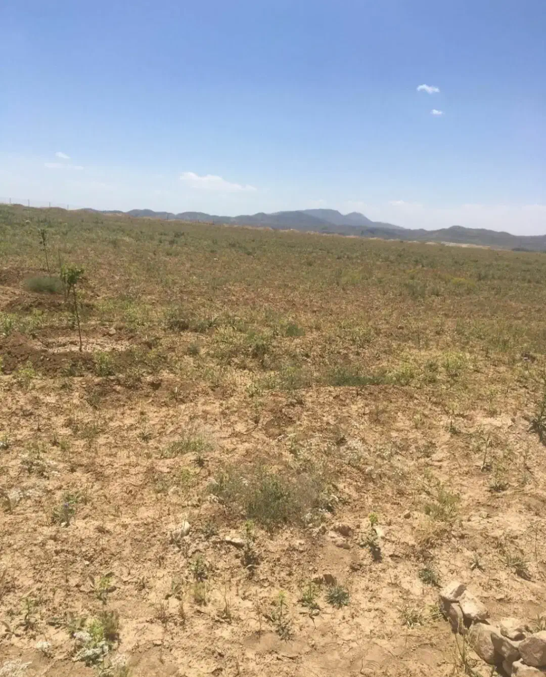 ۱۰۰۰ متر قطعه ویلایی آینده دار در زرنق تبریز|فروش زمین و ملک کلنگی|باسمنج, |دیوار