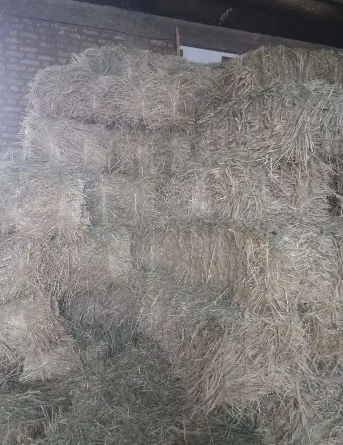 پرس خصیل|لوازم جانبی حیوانات|فارسان, |دیوار