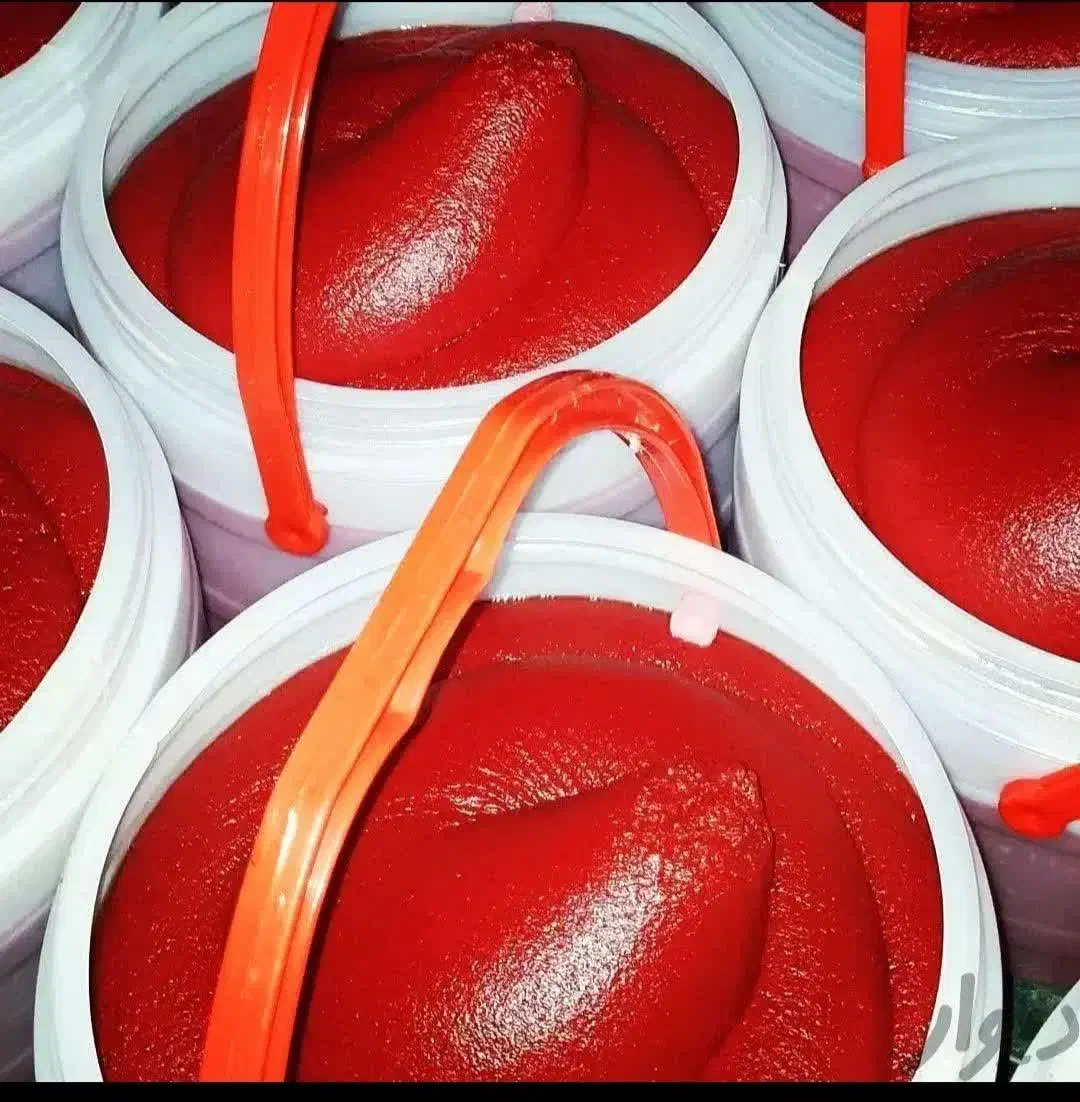 رب گوجه|خوردنی و آشامیدنی|کرج, اصفهانیها|دیوار