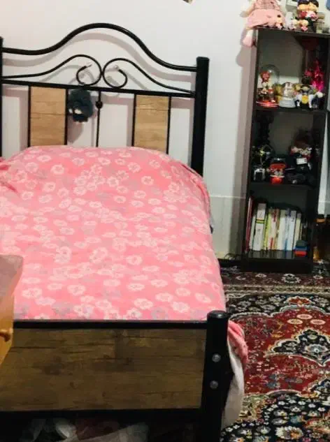 فروش چند عدد وسیله|تخت و سرویس خواب|جهرم, |دیوار