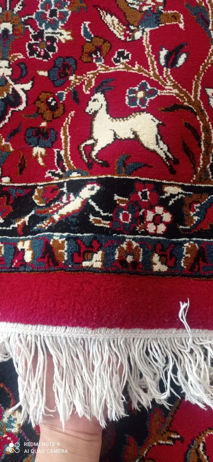 فرش ۱۲ متری|فرش|اسلام‌‌آباد غرب, |دیوار