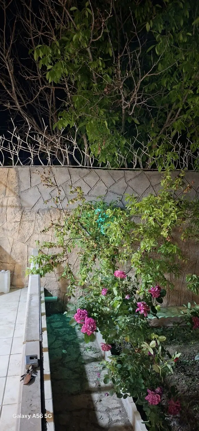 تصویر 7