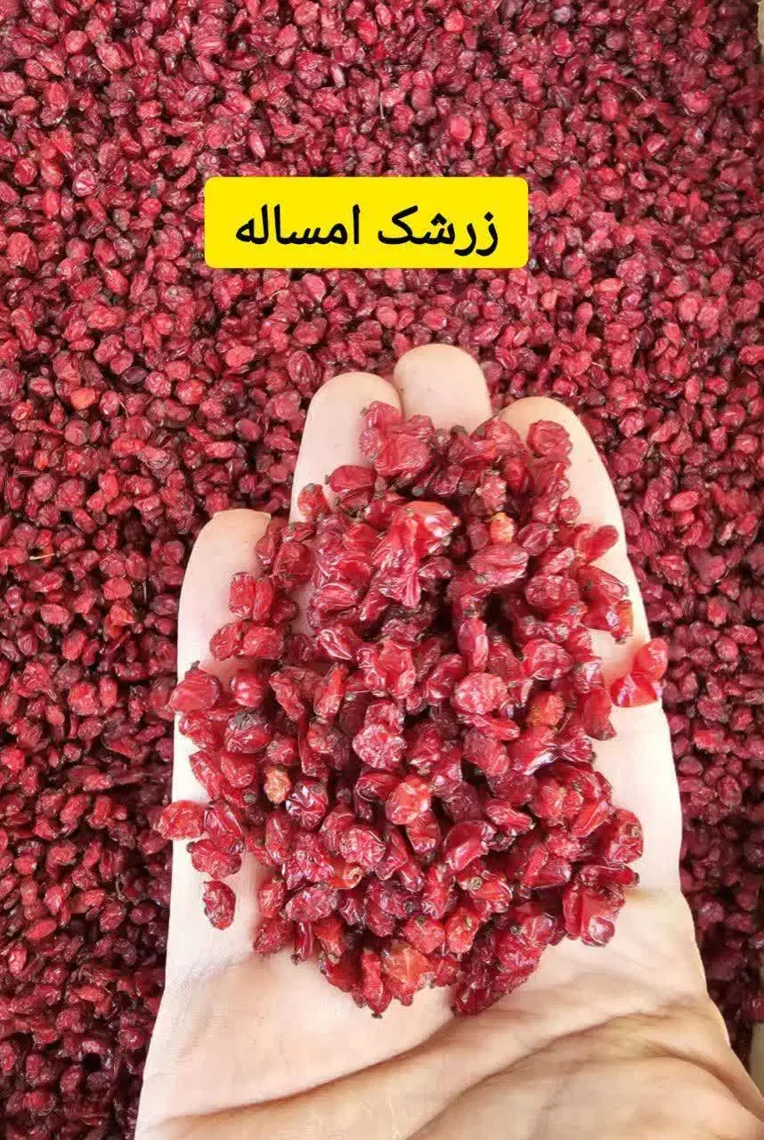 تمام ادویه جات موجوده|خوردنی و آشامیدنی|قم, حکمت شمالی|دیوار