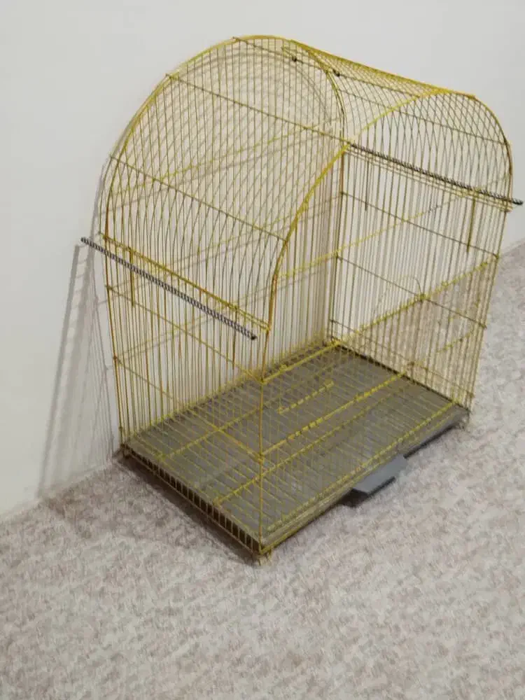 پرنده قفس بزرک|لوازم جانبی حیوانات|کردکوی, |دیوار