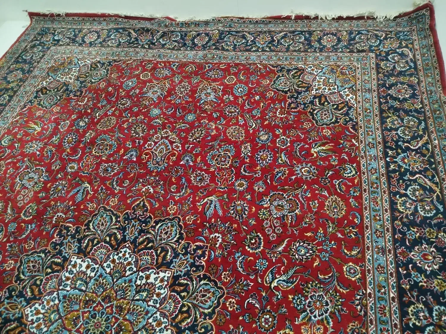 فرش 12متری|فرش|بیرجند, |دیوار