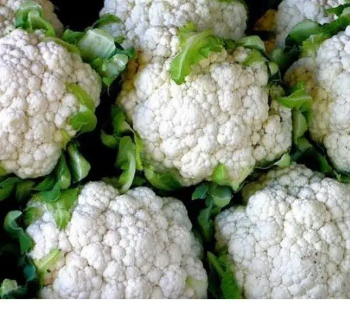 گل کلم وهویج وکرفس..و چیتی تحویل رایگان درب منزل|خوردنی و آشامیدنی|رشت, احمد گوراب|دیوار