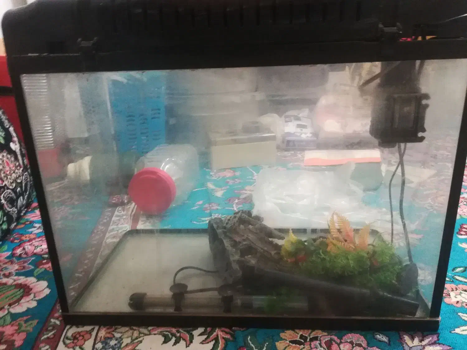 فرش و آکواریم|فرش|بندرعباس, |دیوار