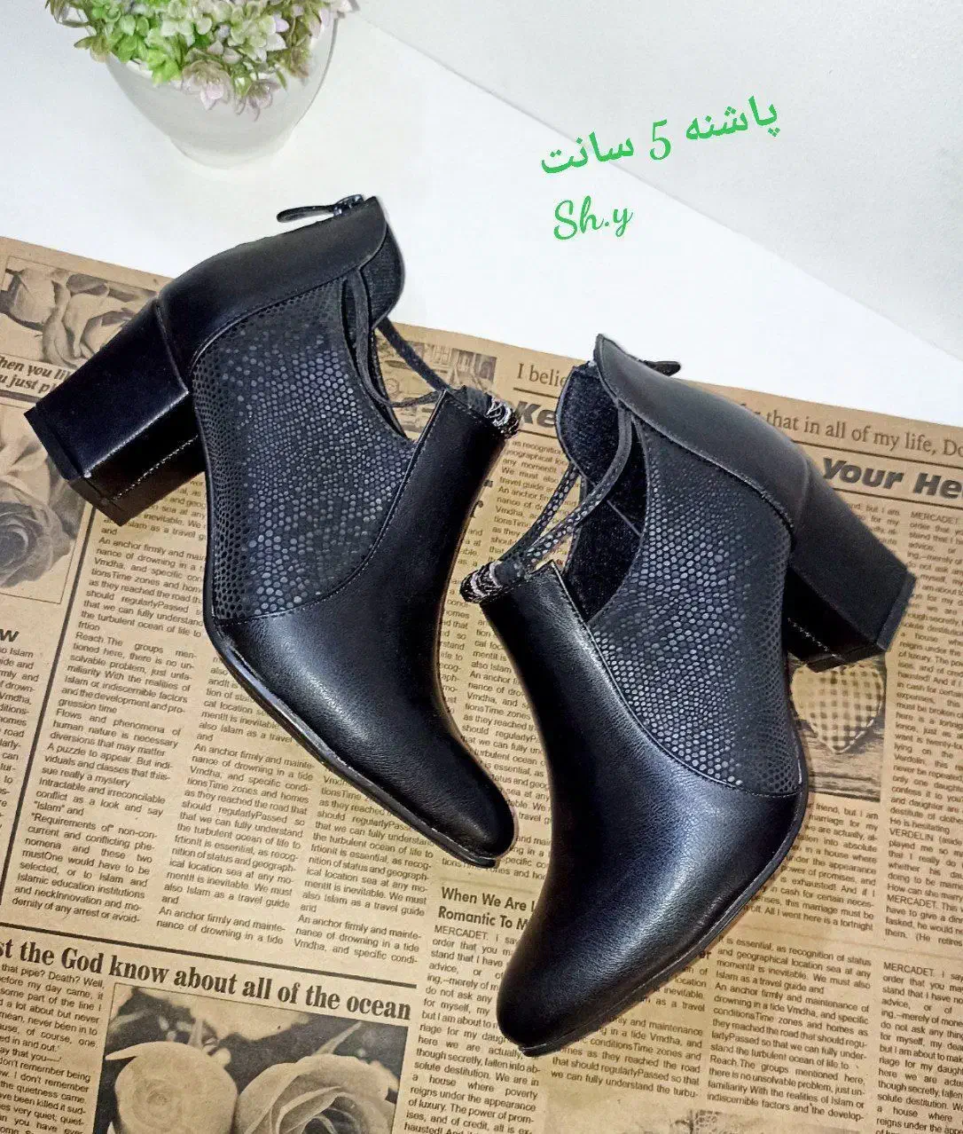 مجلسی پاشنه دار|کیف، کفش، کمربند|سلماس, |دیوار