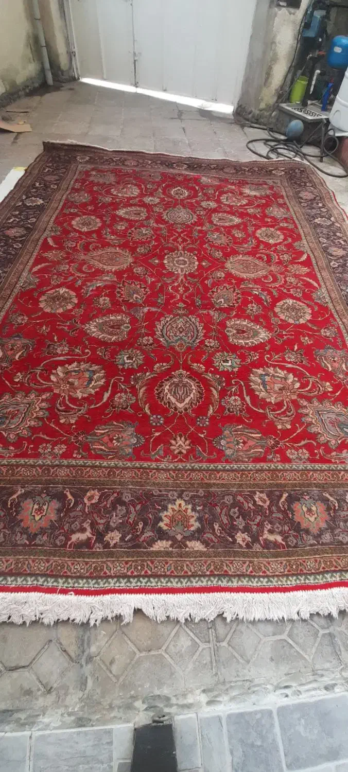 فرش دست بافت ۱۲ متری|فرش|رامسر, |دیوار