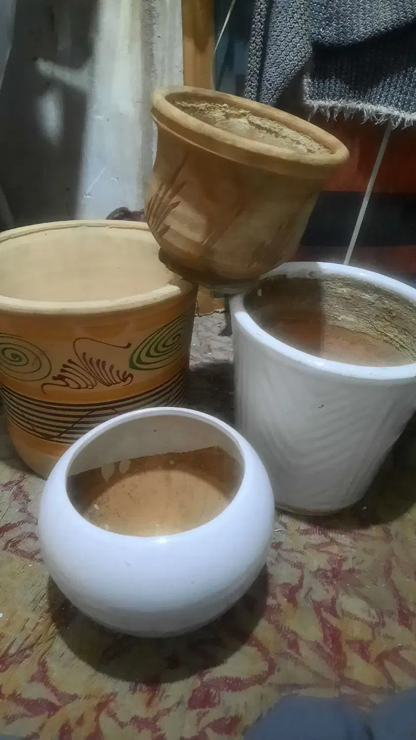 جا گلدانی سفال و پلاستیکی|گل و گیاه طبیعی|تهران, شوش (باغ آذری)|دیوار