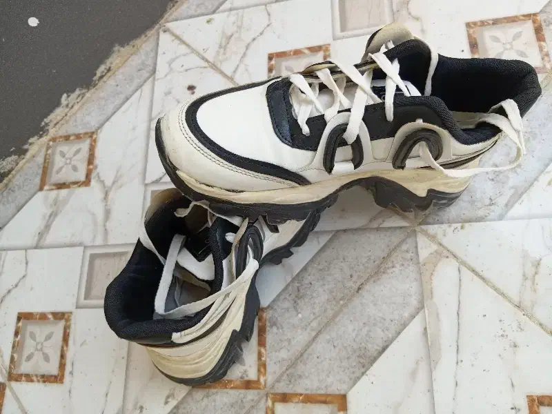 سوسنگرد|کیف، کفش، کمربند|سوسنگرد, |دیوار