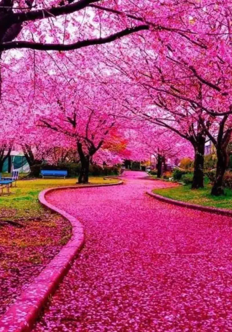 گروه دورهمی و طبیعت گردی دوستانه|تور و چارتر|کرج, شهرک فهمیده|دیوار