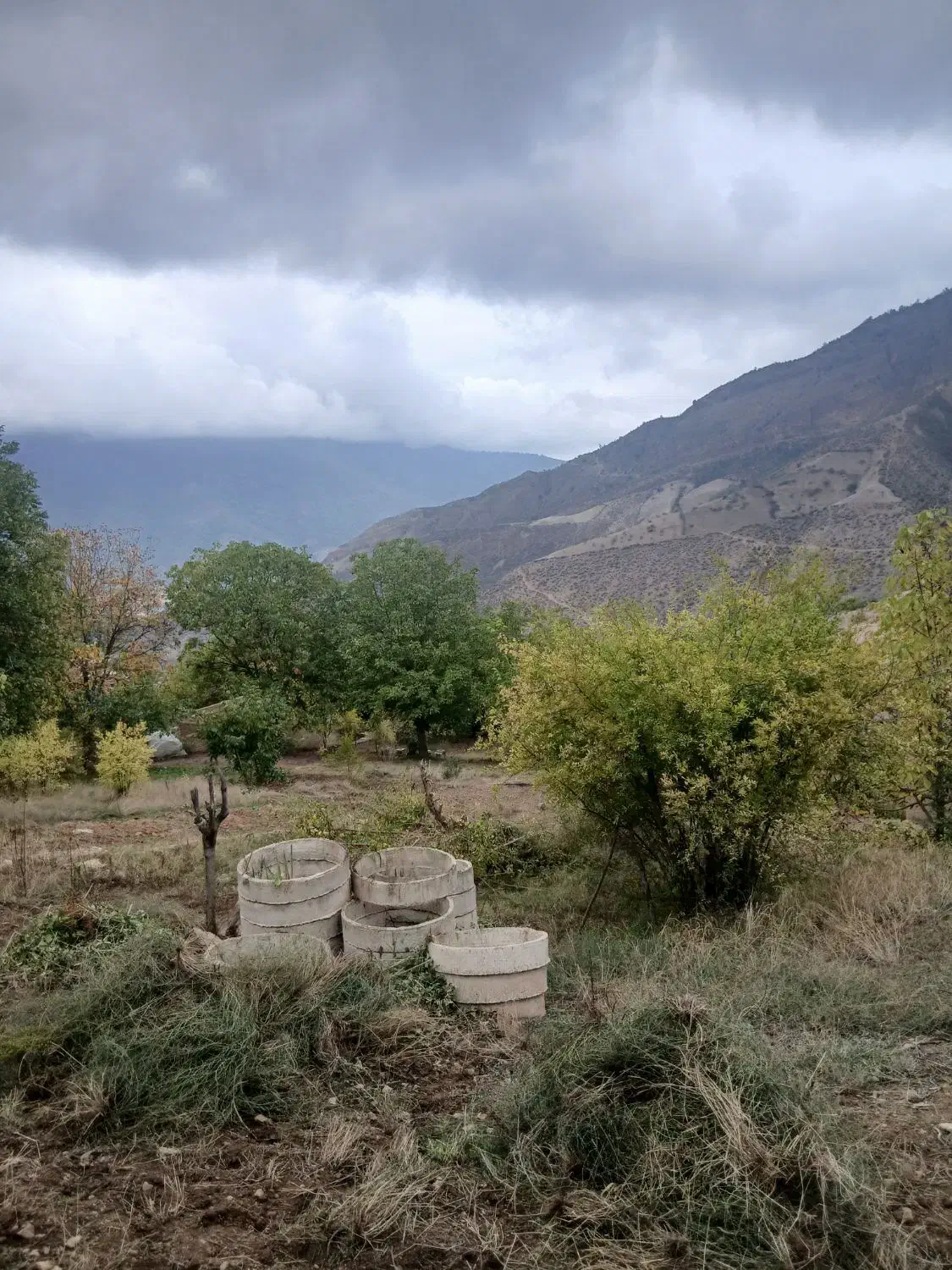 فروش زمین روستای سرسبز قورچای رامیان|فروش زمین و ملک کلنگی|رامیان, |دیوار