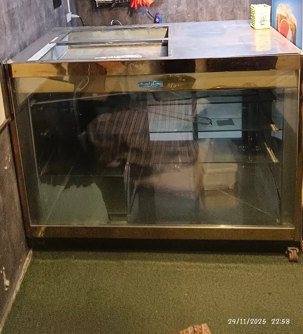 یخچال ویترینی|فروشگاه و مغازه|مشهد, یوسفیه (شهرک غرب)|دیوار